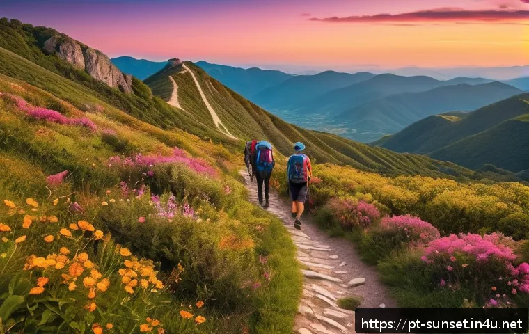 선셋포인트 산 속에서의 일몰 - A serene mountain trail leading to a scenic Sunset Point, featuring a well-marked path winding gentl...