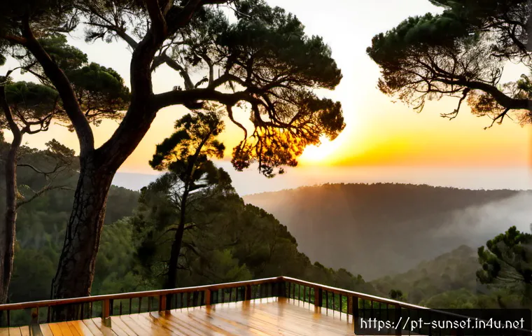 선셋포인트 숲속에서 보는 일몰 - Photorealistic sunset viewpoint deep in an Atlantic forest in Portugal, tall cork oak and pine trees...